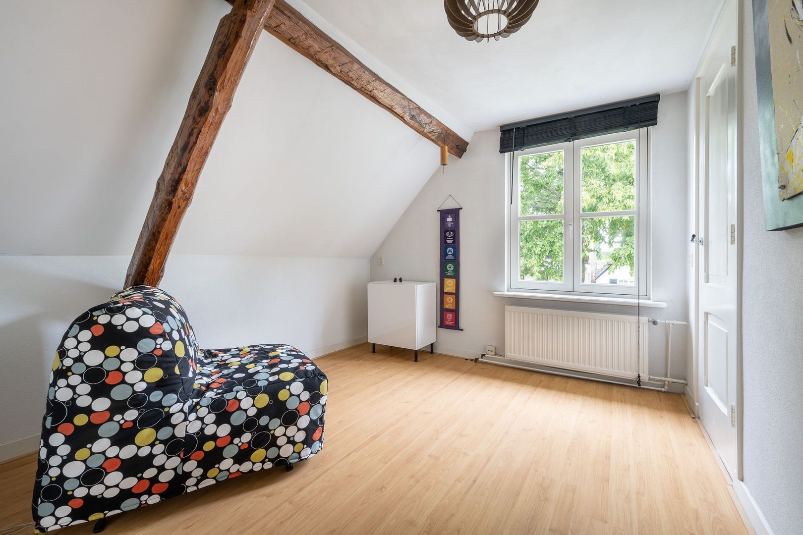Haarsteegsestraat 95, Haarsteeg foto-22