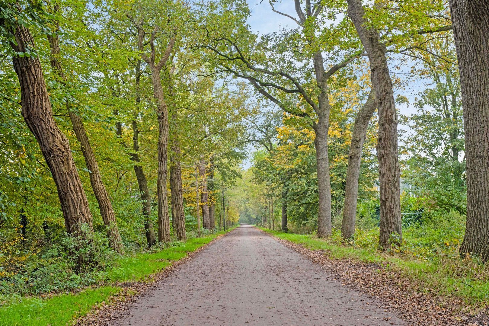 Bergenshuizensestraat 1 B, Vught foto-47