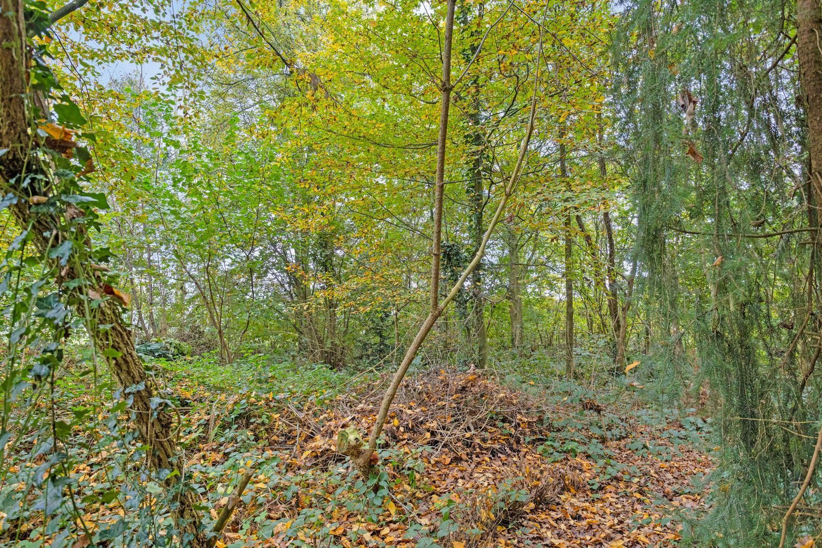 Bergenshuizensestraat 1 B, Vught foto-46