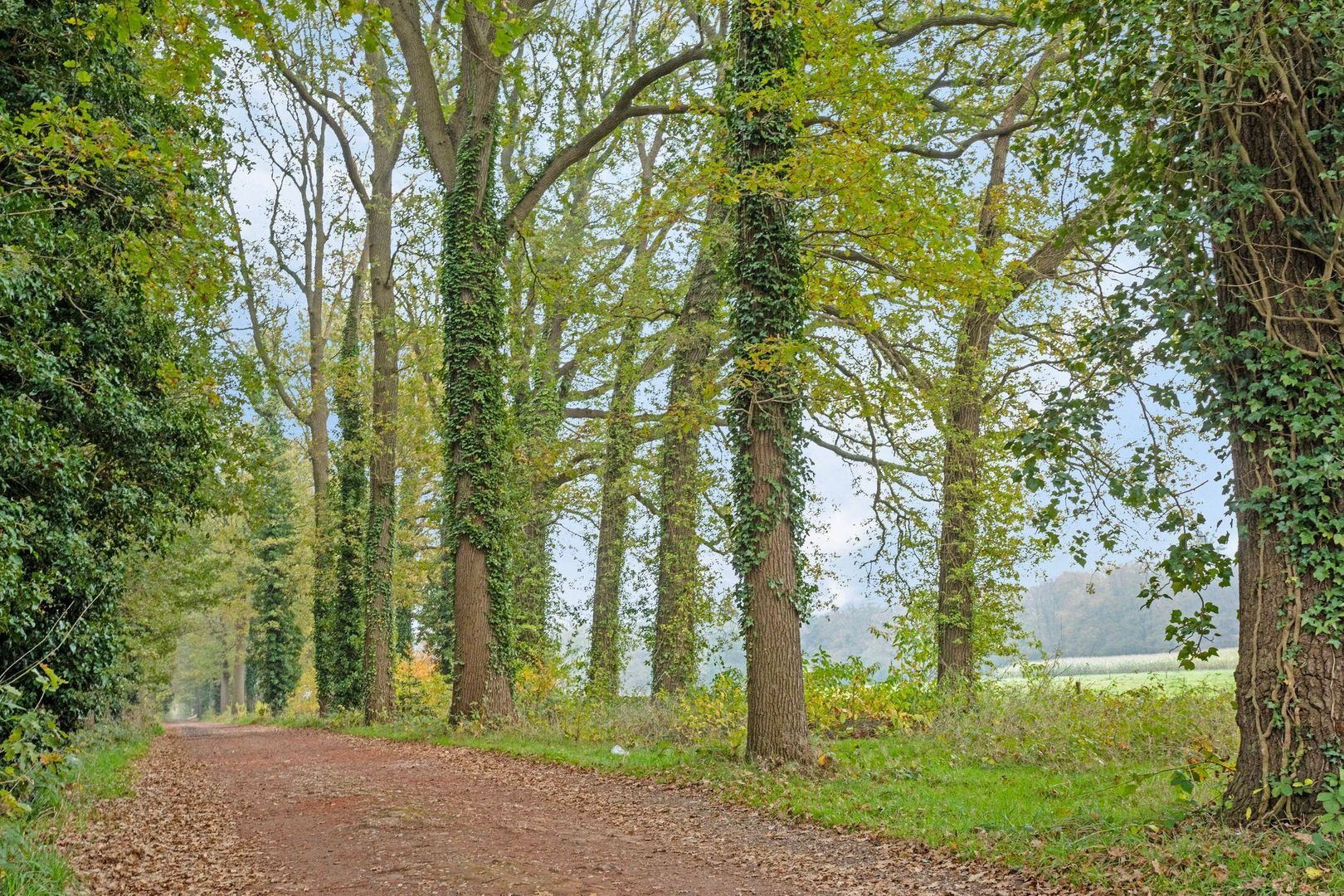 Bergenshuizensestraat 1 B, Vught foto-48