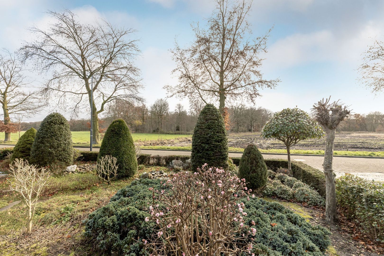 Taxandrialaan 5, Vught foto-38