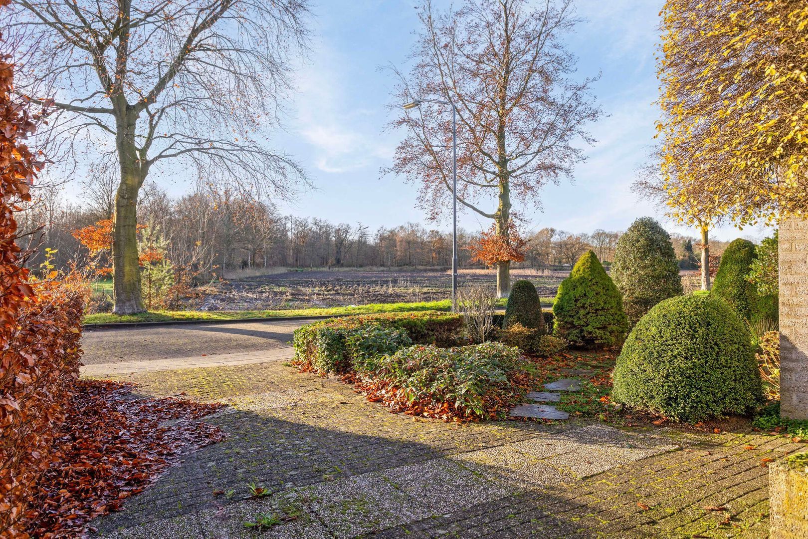 Taxandrialaan 5, Vught foto-2