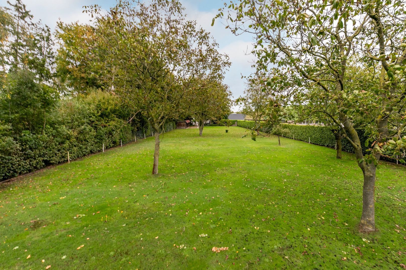 St.-Lambertusstraat 38, Cromvoirt foto-46