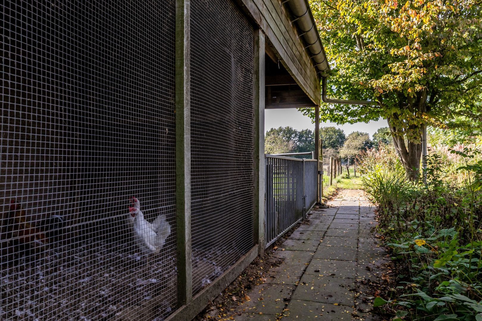 St.-Lambertusstraat 70, Cromvoirt foto-76