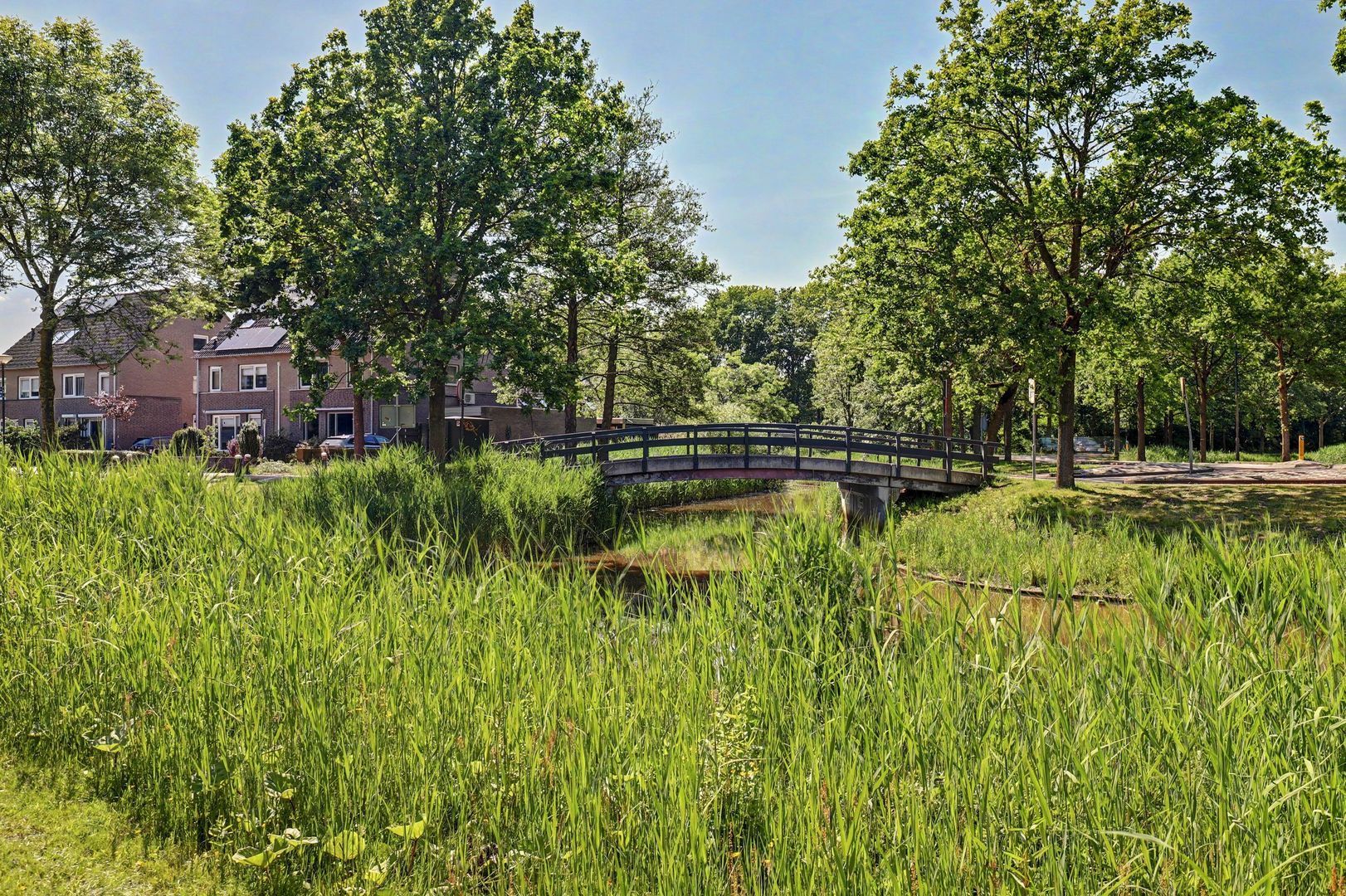 Ranonkelstraat 28, Vught foto-57
