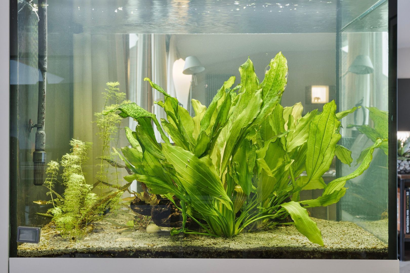 Bordeslaan 207, Den Bosch foto-23