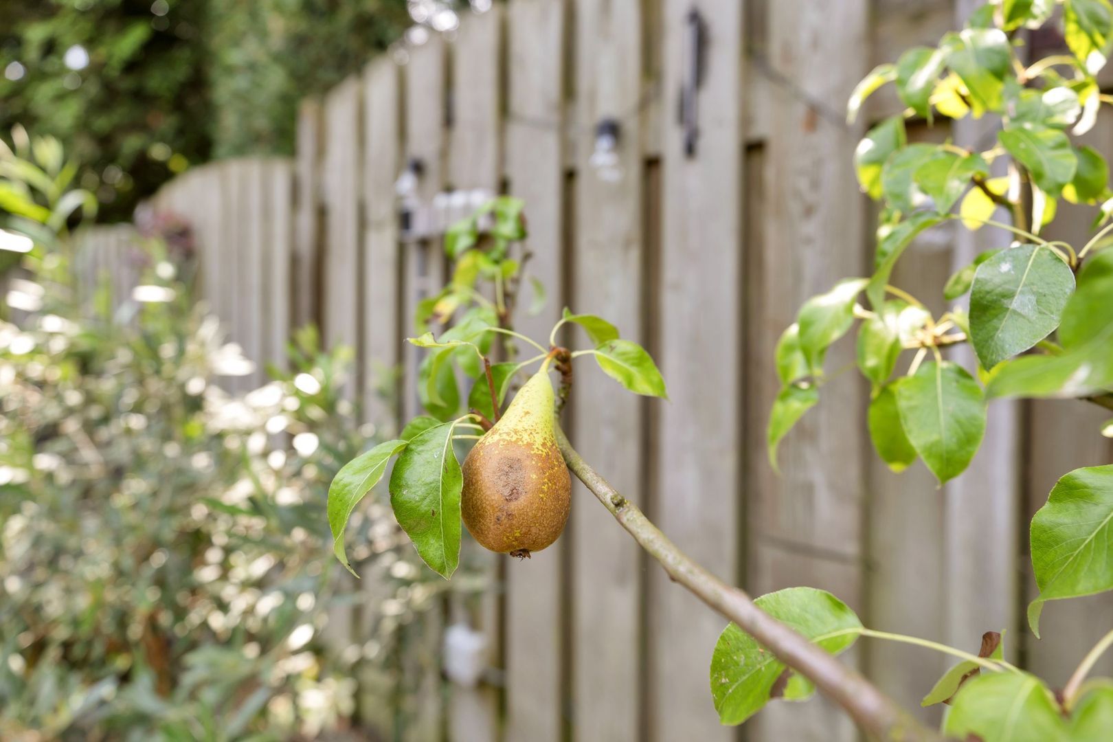 Hintham 93, Rosmalen foto-43