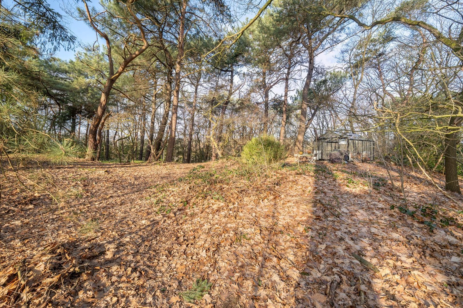 Elzenstraat 7, Nuland foto-28