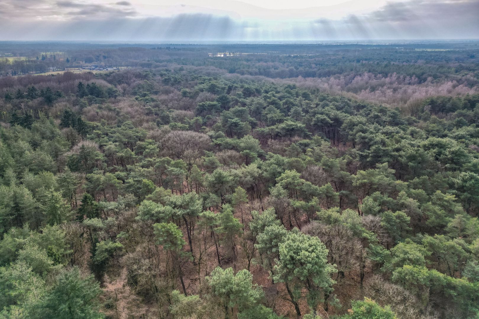 Elzenstraat 7, Nuland foto-37
