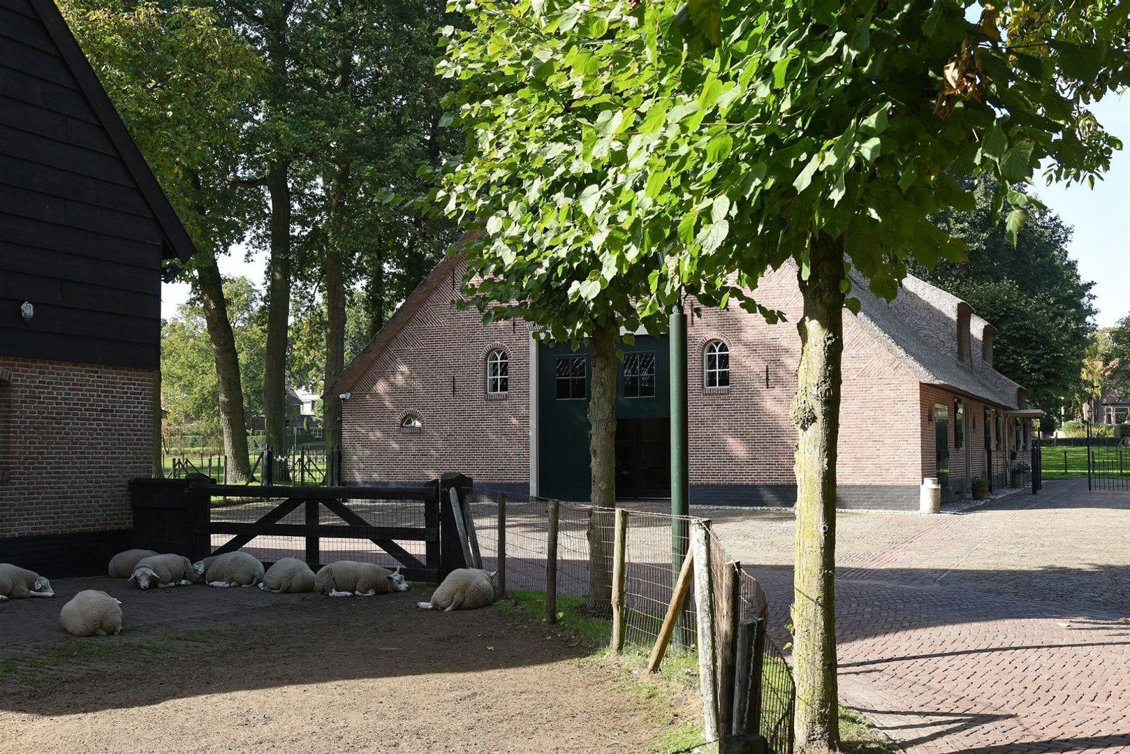 Kerkstraat 19 image 1