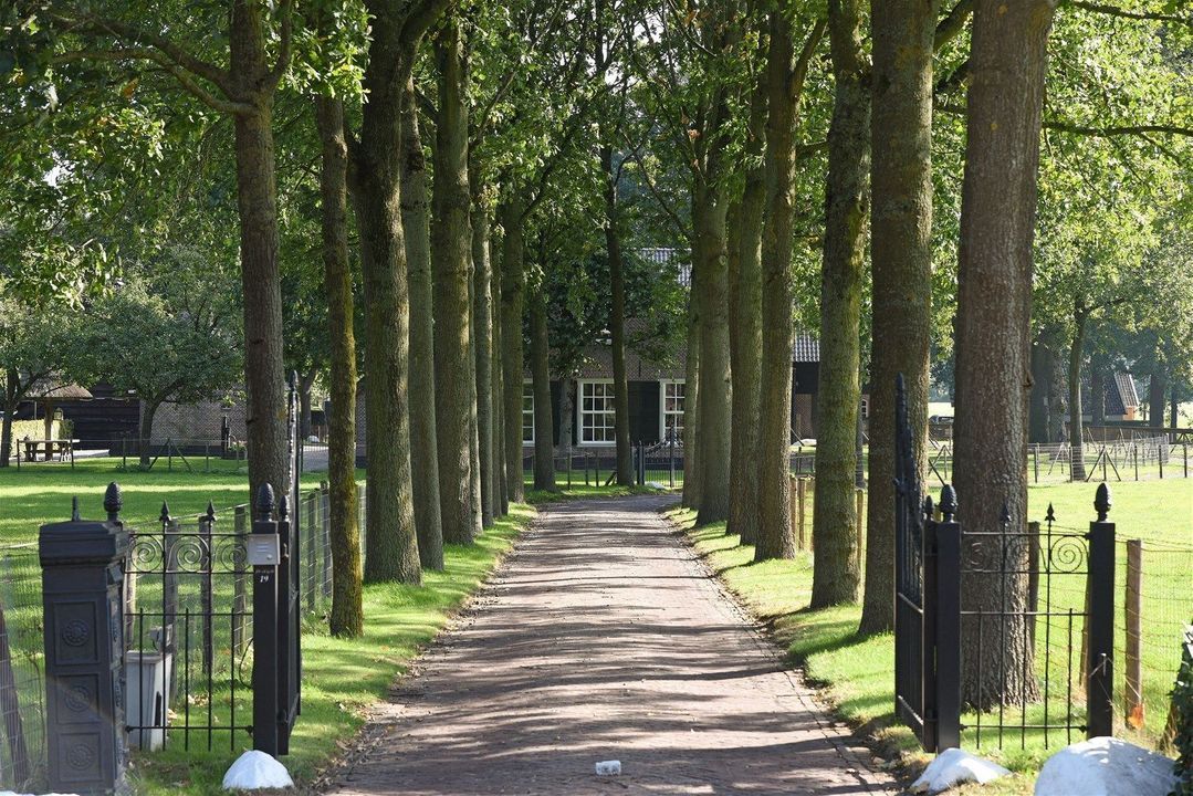 Kerkstraat 19 image thumbs 1
