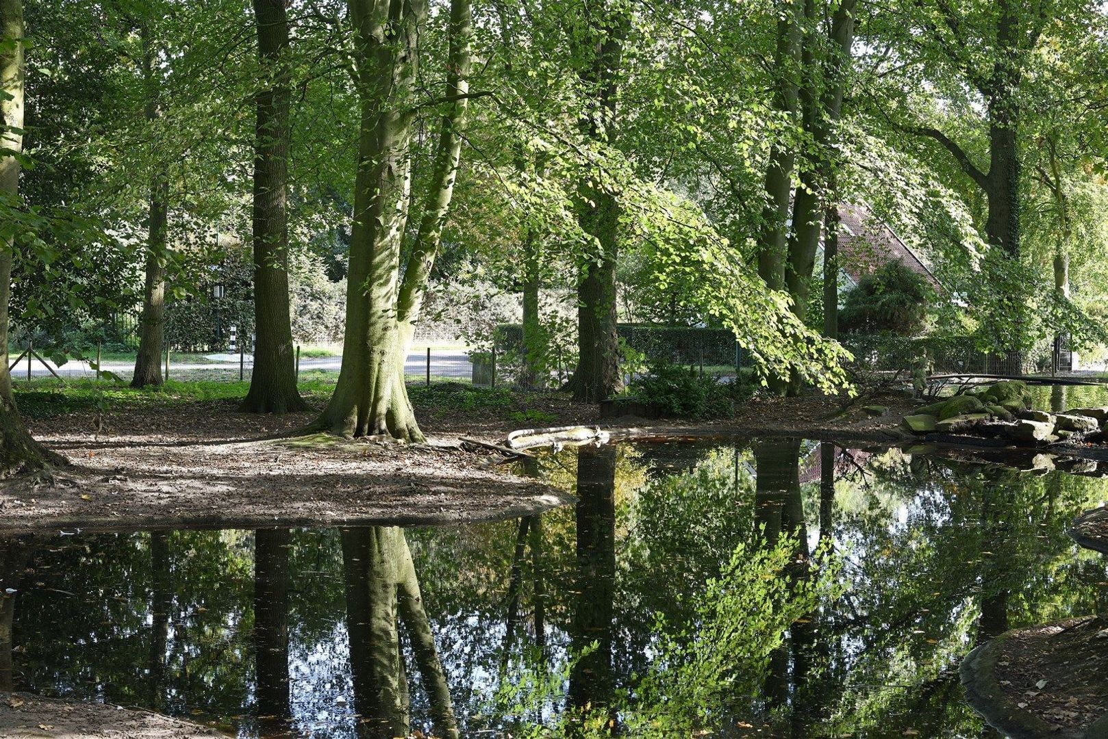 Kerkstraat 19 image 1