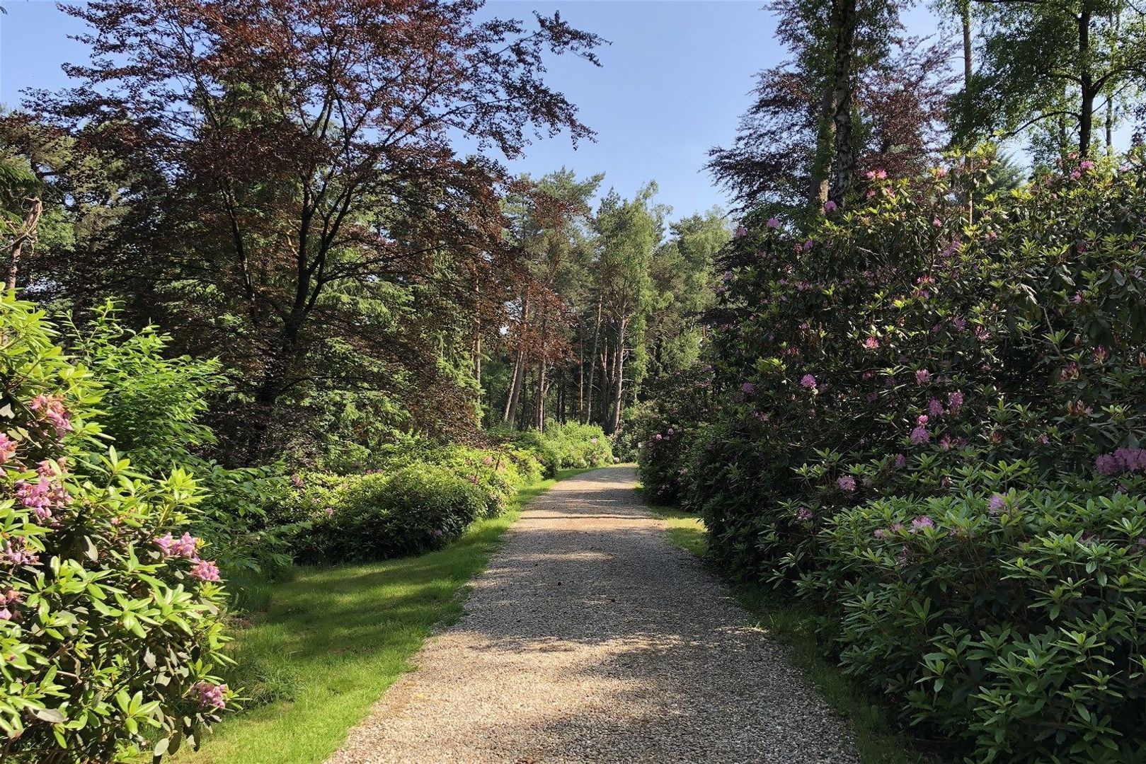 M.C.Verloopweg 78 image 1