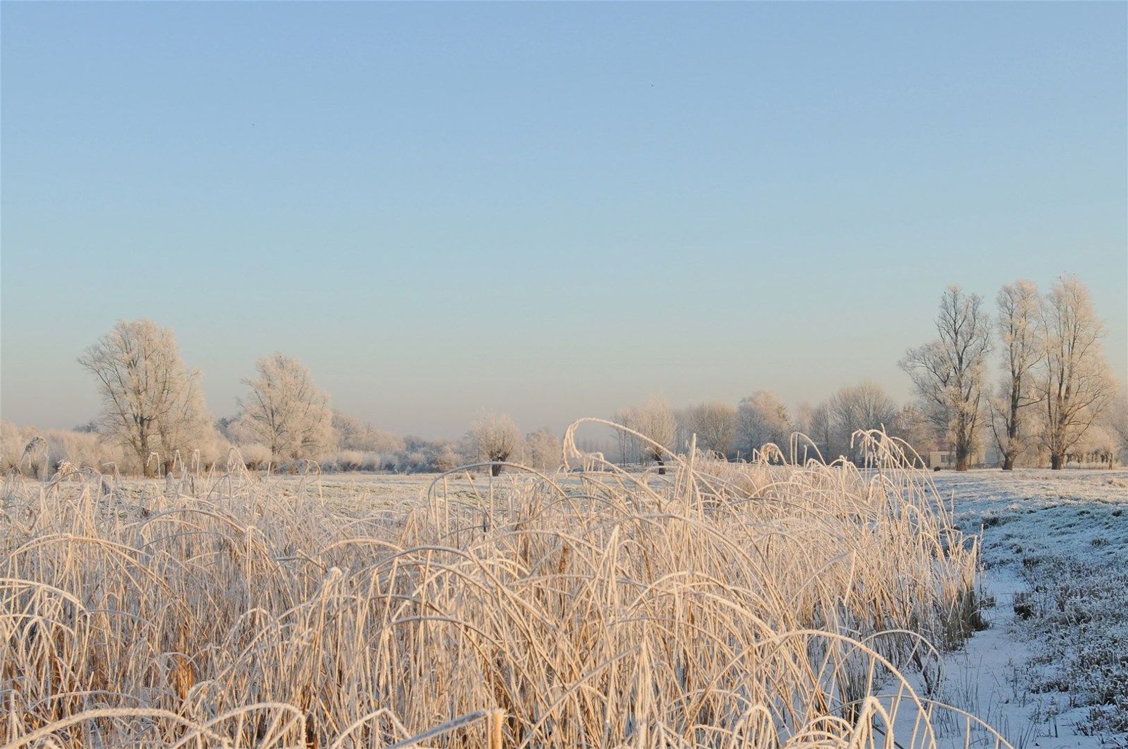 Langbroekerdijk 5 image 1
