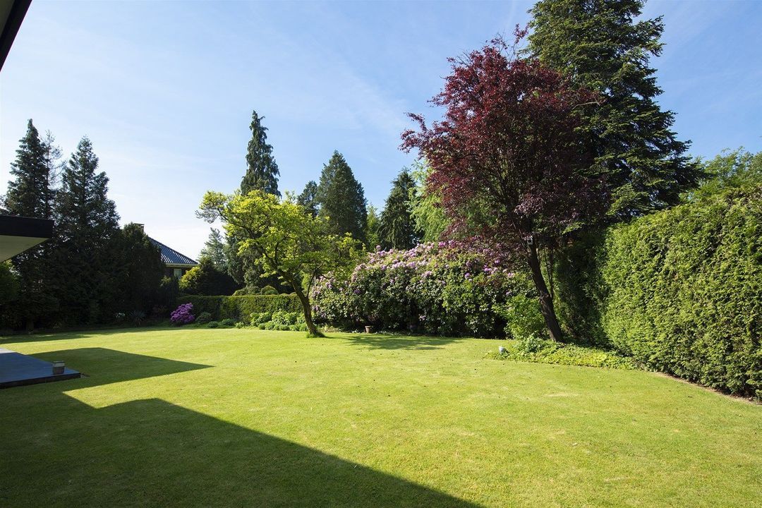 van Oosthuyselaan 39 image thumbs 1