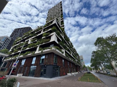 apartments for rent on Hoola van Nootenstraat 309