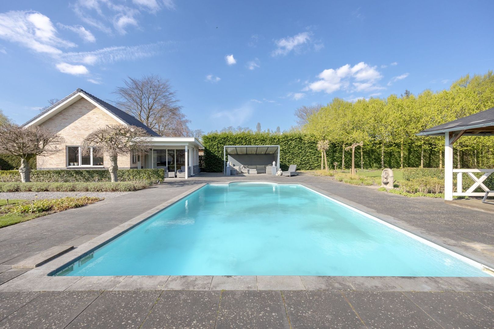 Leiboom 2, Oudenbosch foto-55