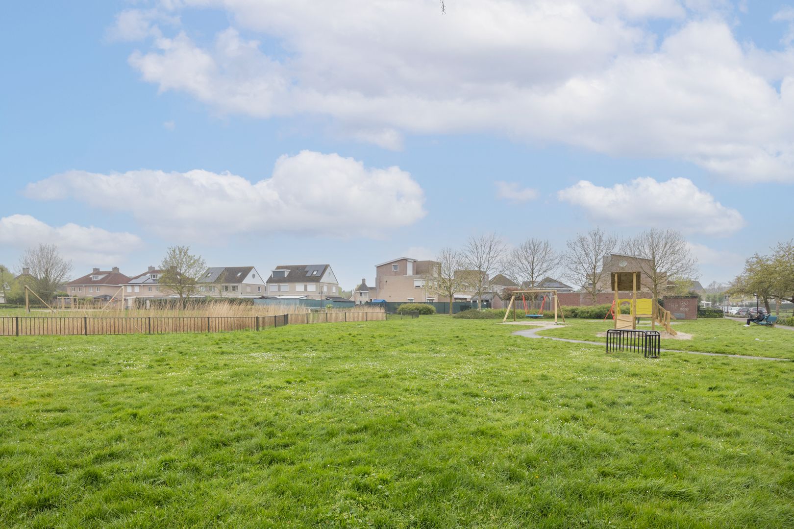 Leiboom 2, Oudenbosch foto-73