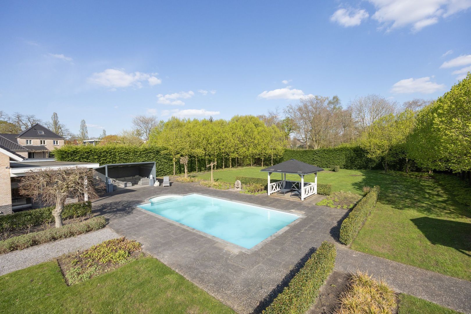 Leiboom 2, Oudenbosch foto-50