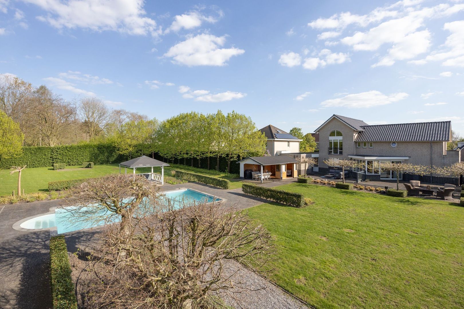 Leiboom 2, Oudenbosch foto-67