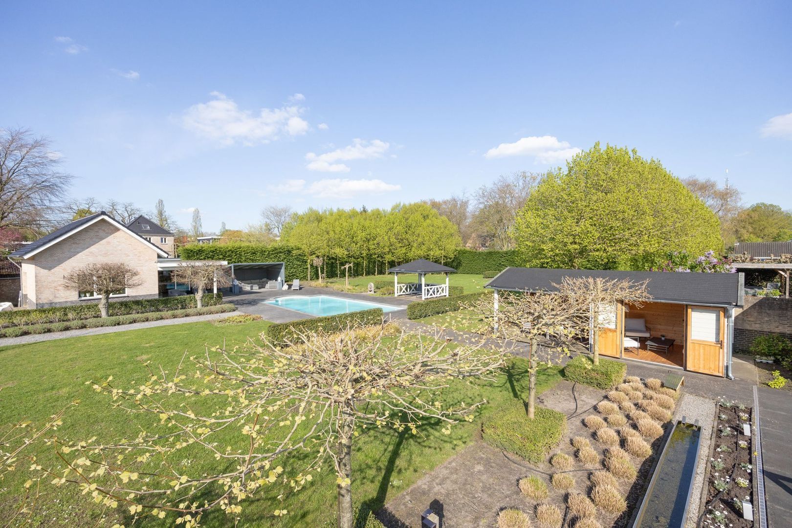 Leiboom 2, Oudenbosch foto-3