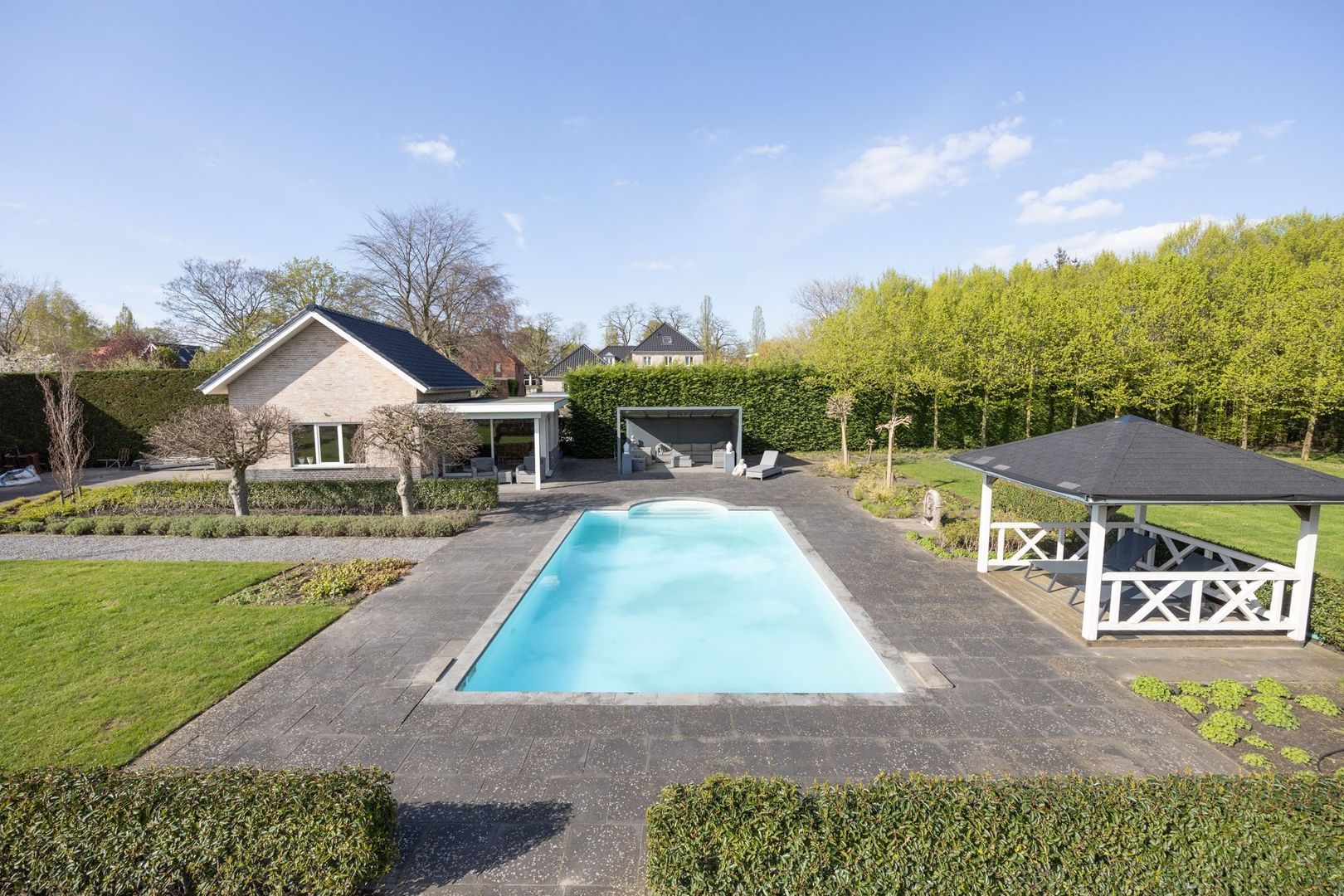 Leiboom 2, Oudenbosch foto-54