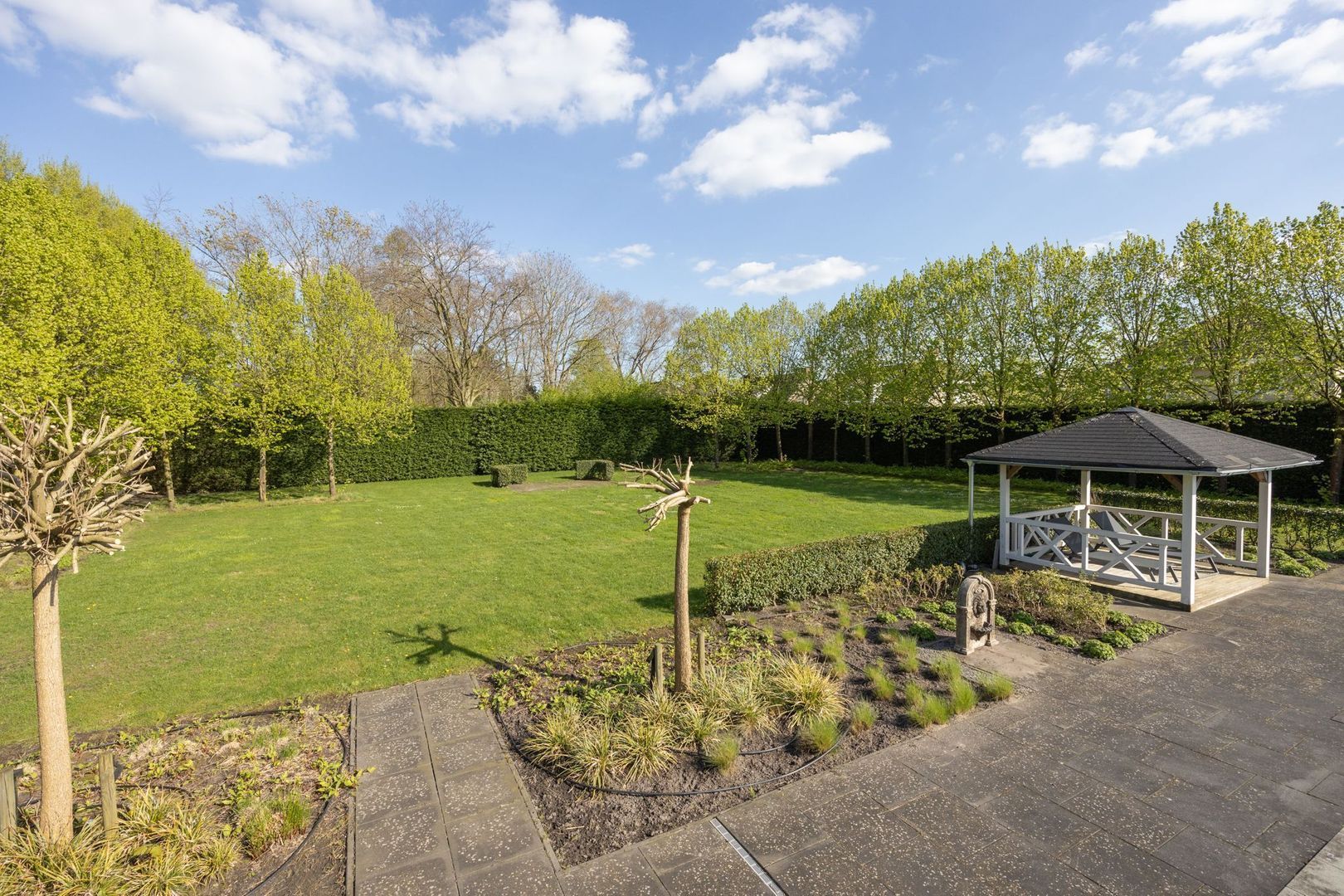 Leiboom 2, Oudenbosch foto-66