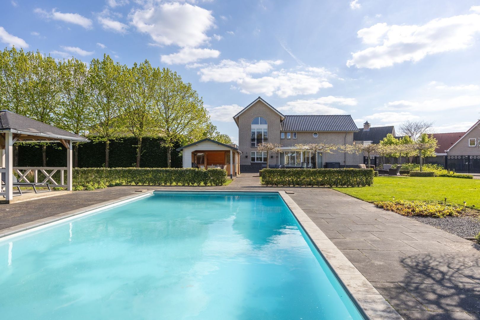 Leiboom 2, Oudenbosch foto-60