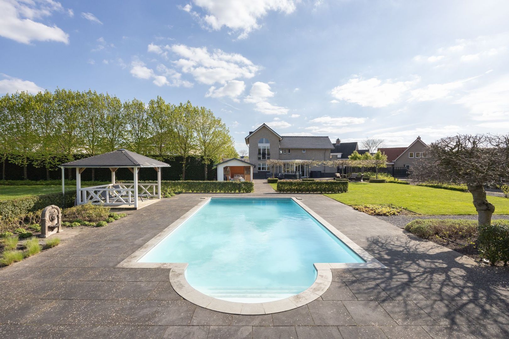 Leiboom 2, Oudenbosch foto-59