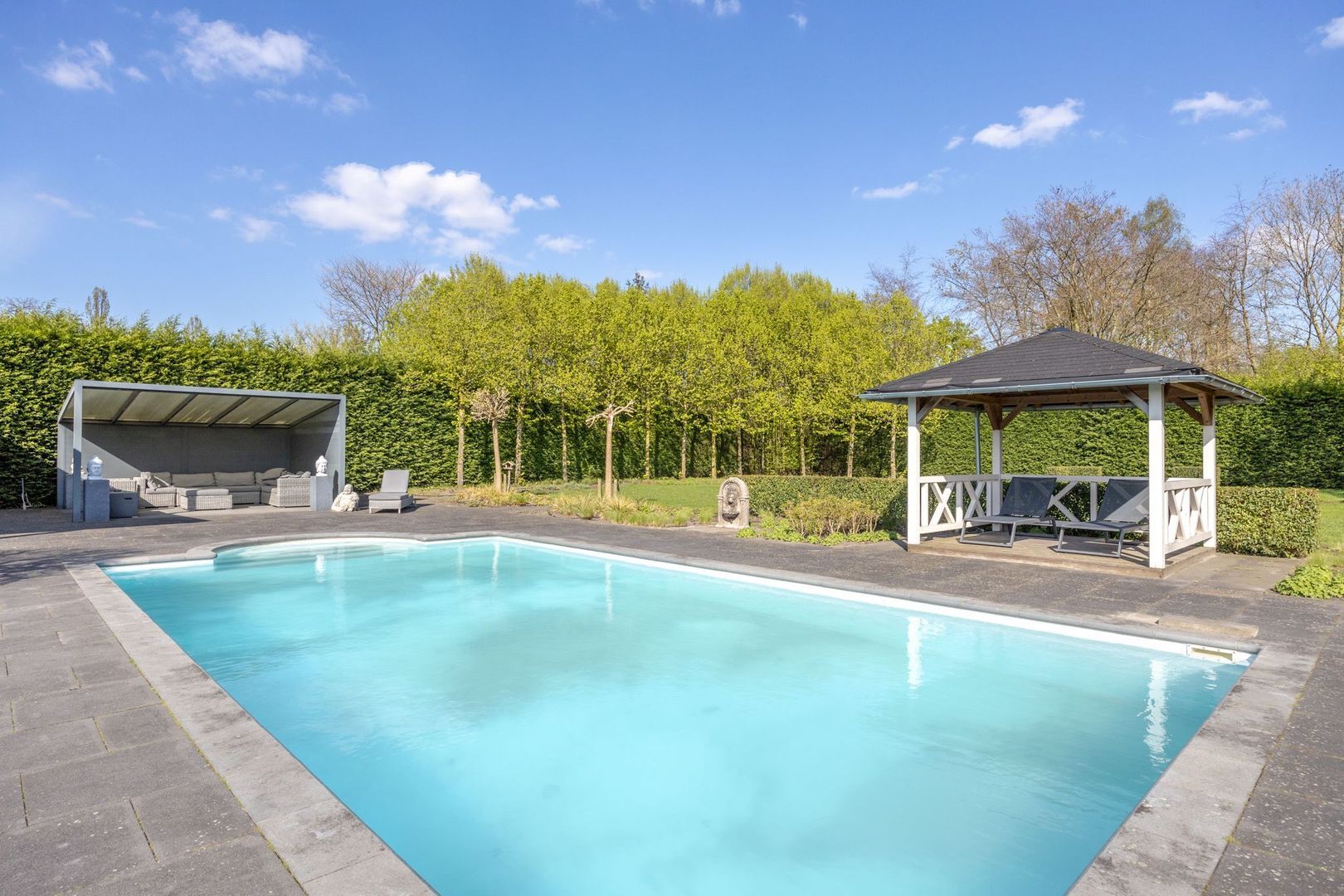 Leiboom 2, Oudenbosch foto-53