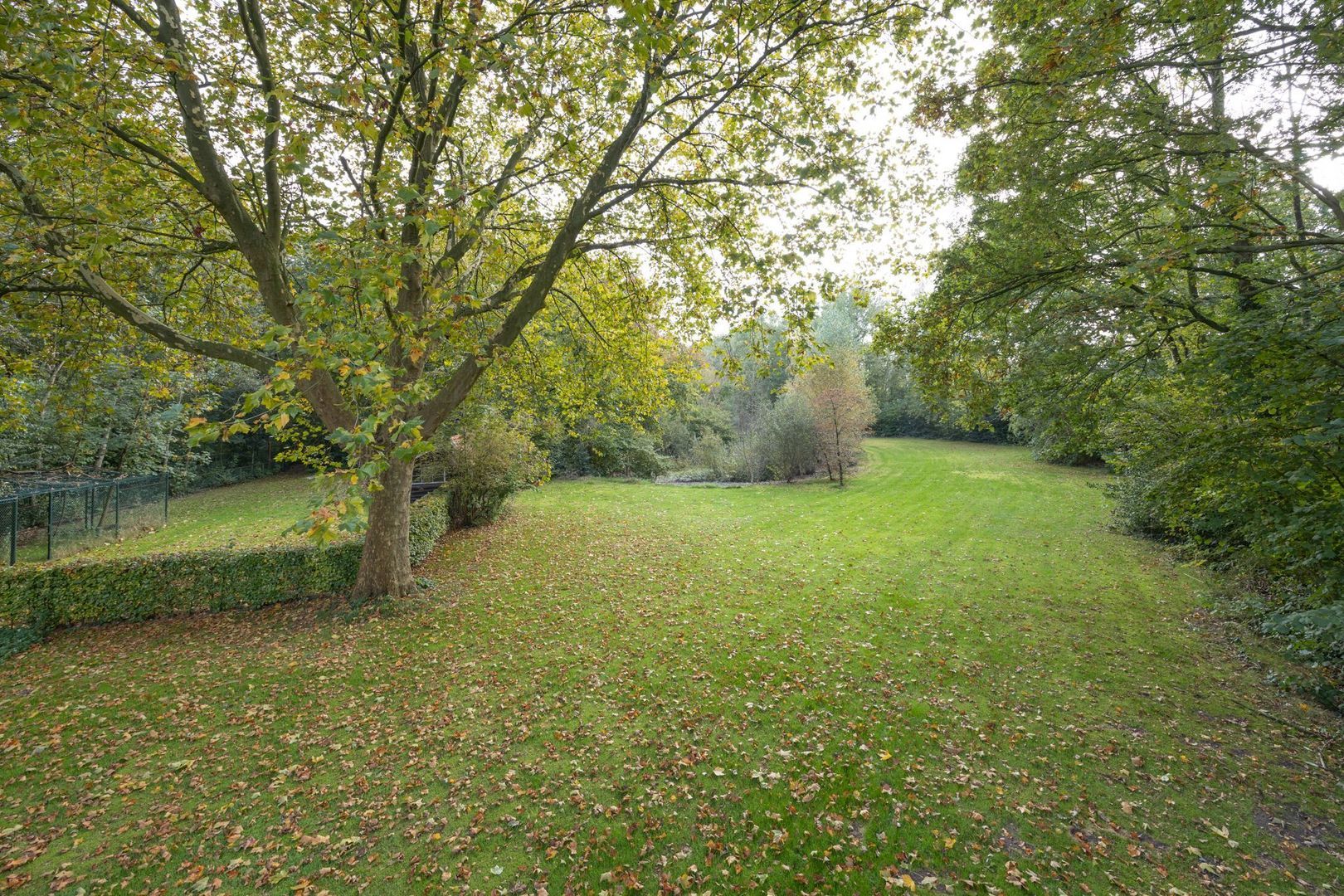 Overaseweg 25, Breda foto-50