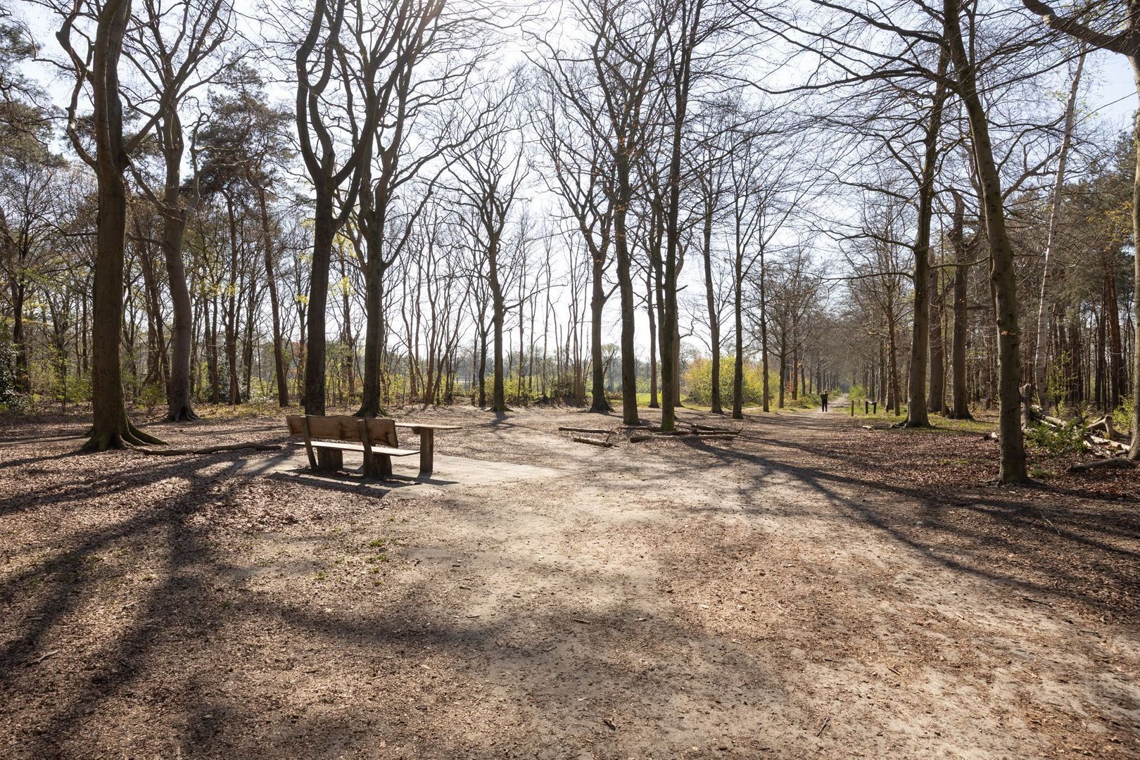 Tanzanietdijk 16, Roosendaal foto-51