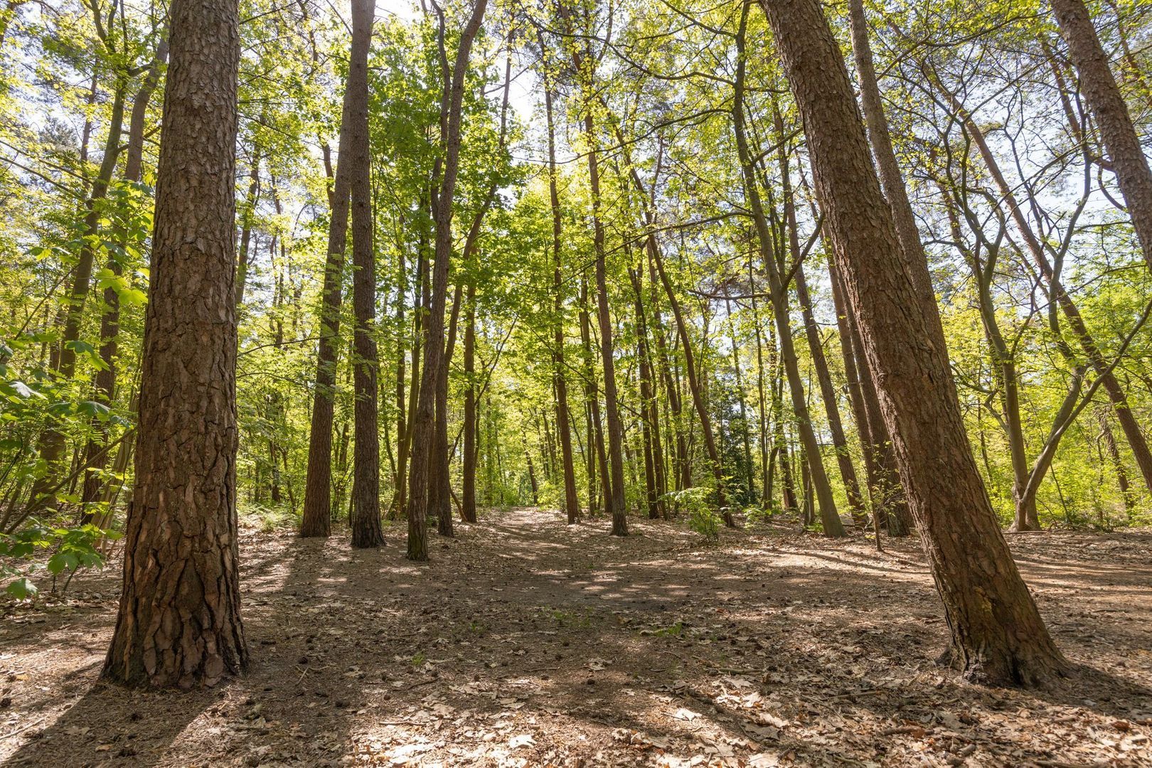 Mommersstraat 10, Hoeven foto-60