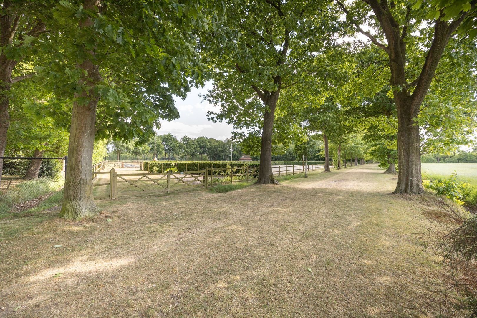 Zoeksestraat 19, Schijf foto-71