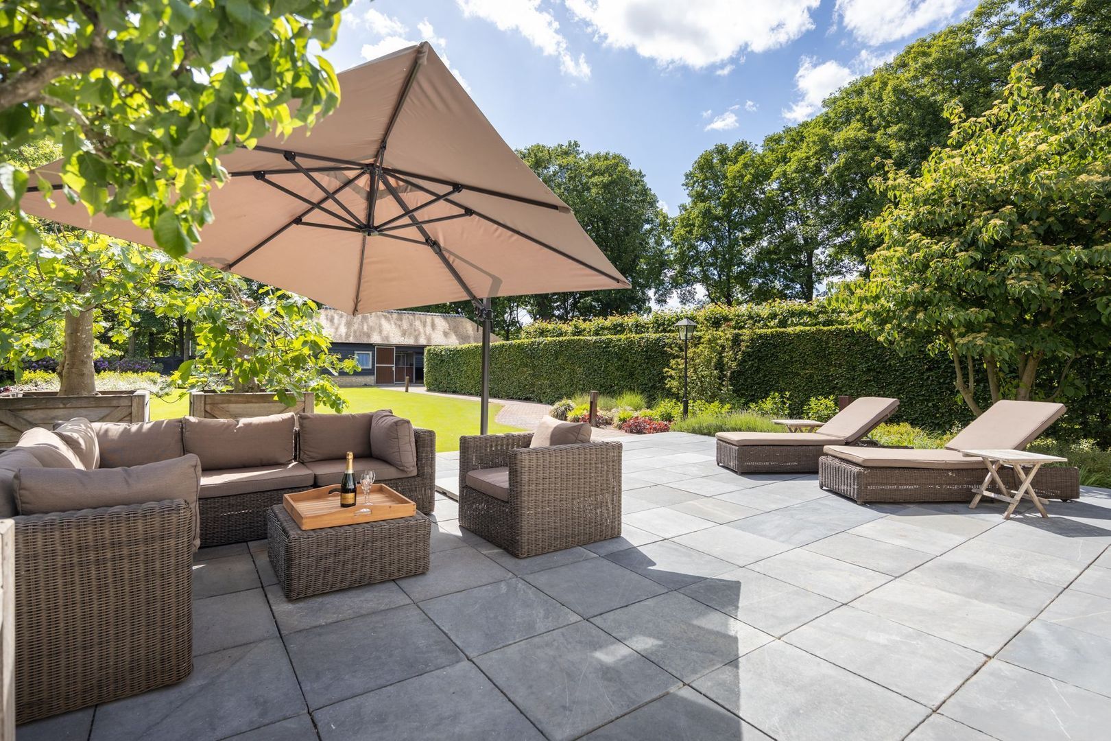 Zoeksestraat 19, Schijf foto-69