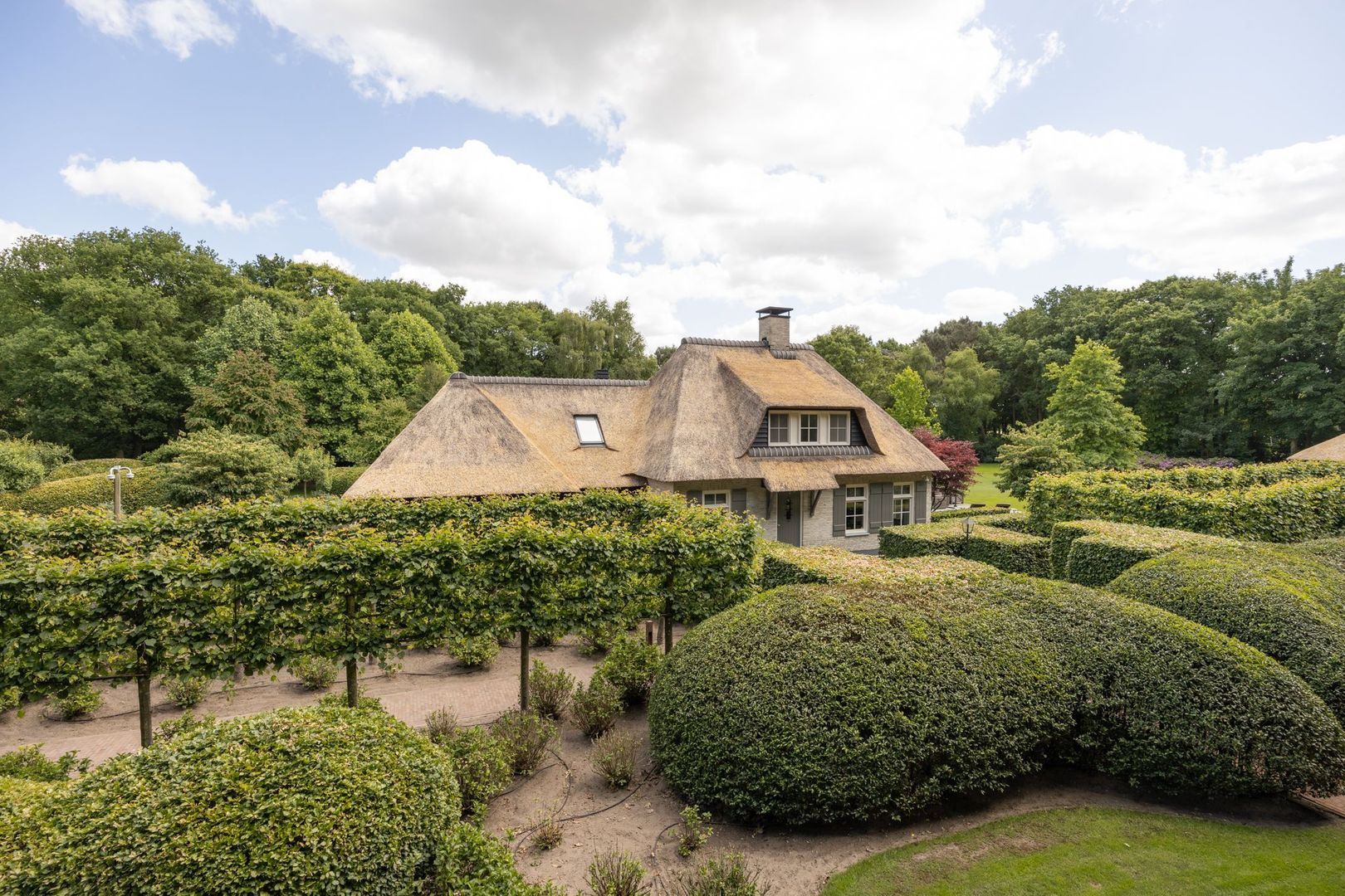 Zoeksestraat 19, Schijf foto-52