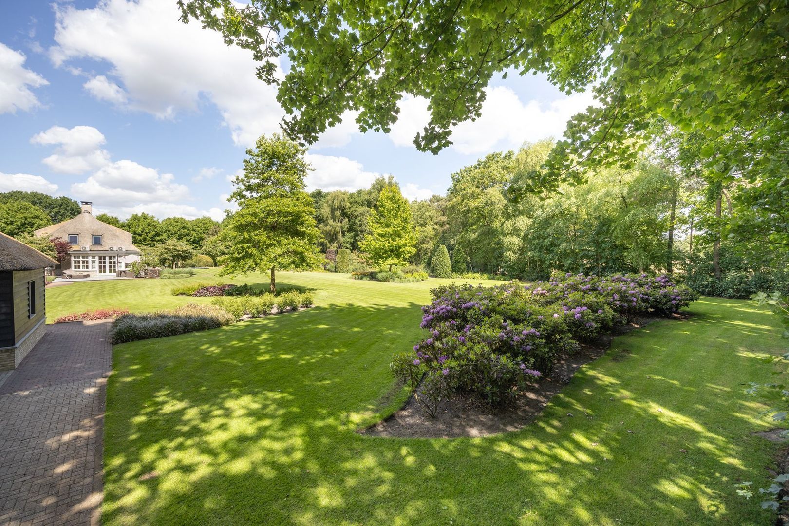 Zoeksestraat 19, Schijf foto-63