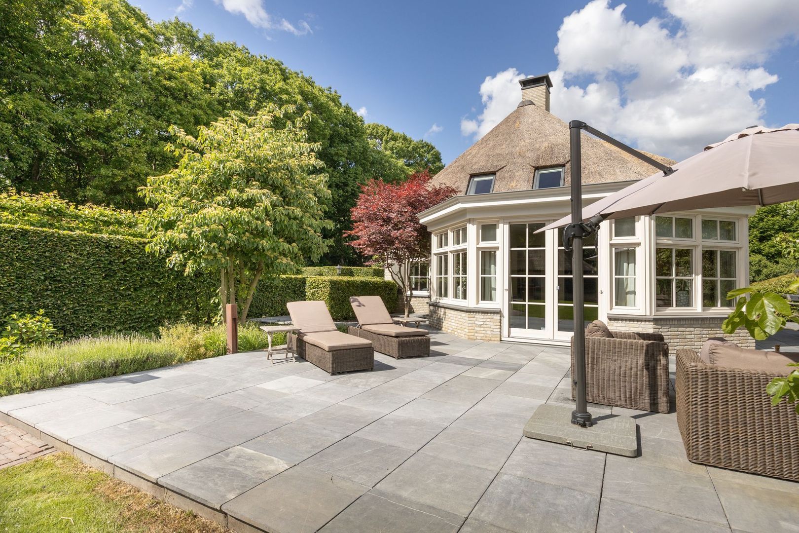 Zoeksestraat 19, Schijf foto-70