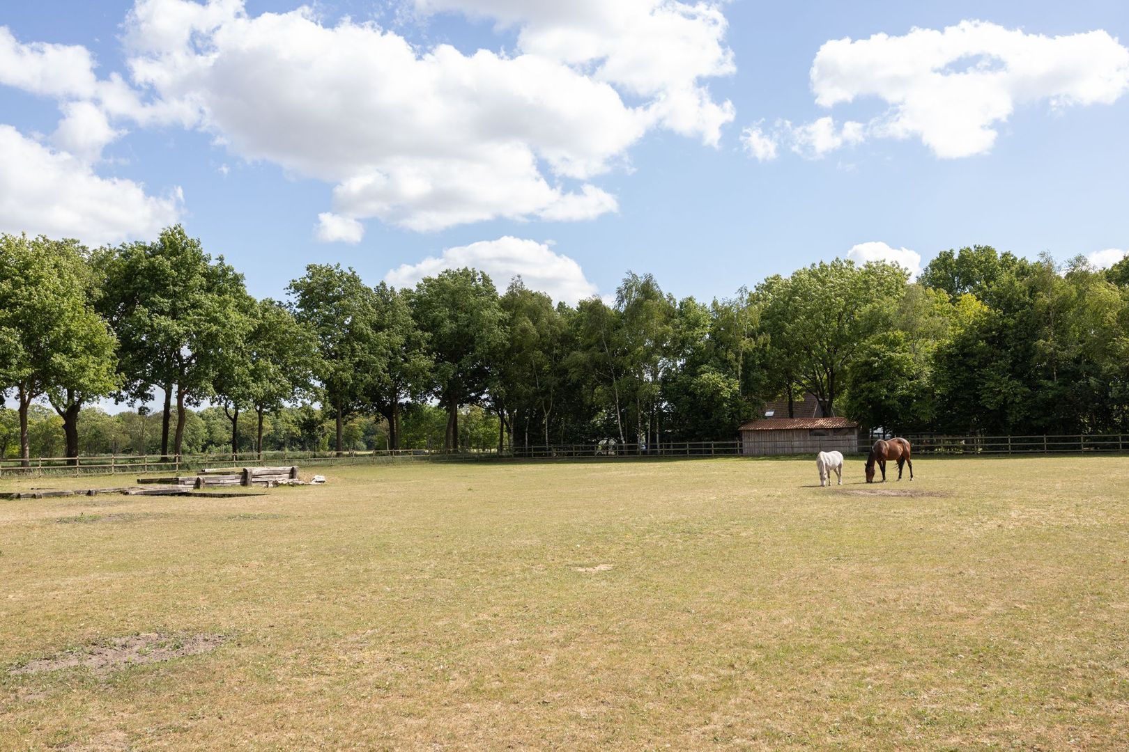 Zoeksestraat 19, Schijf foto-85