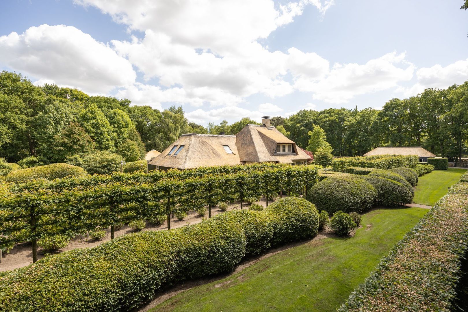 Zoeksestraat 19, Schijf foto-51