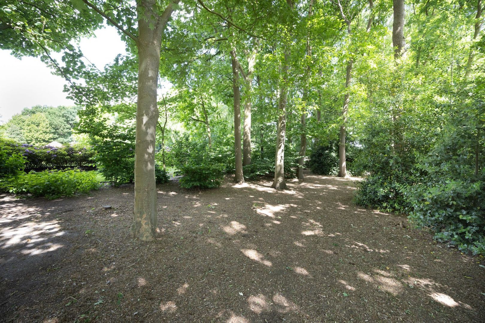 Zoeksestraat 19, Schijf foto-76