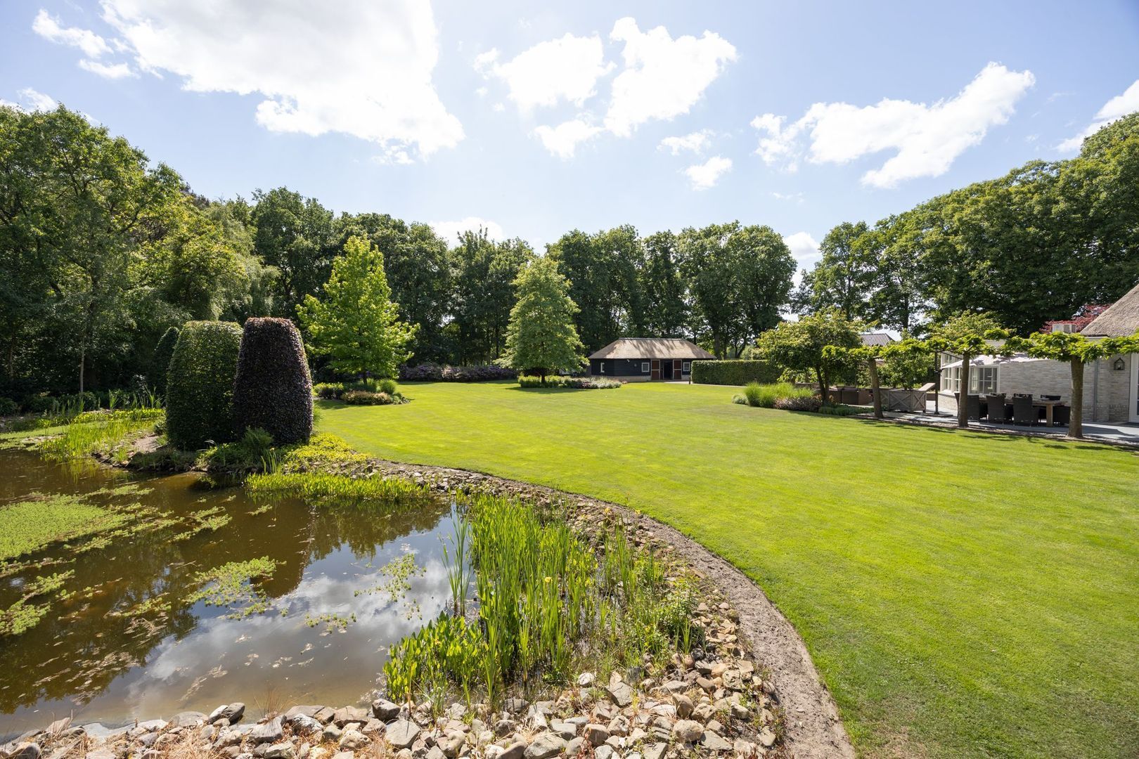 Zoeksestraat 19, Schijf foto-61