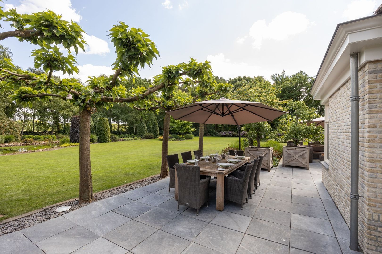 Zoeksestraat 19, Schijf foto-67