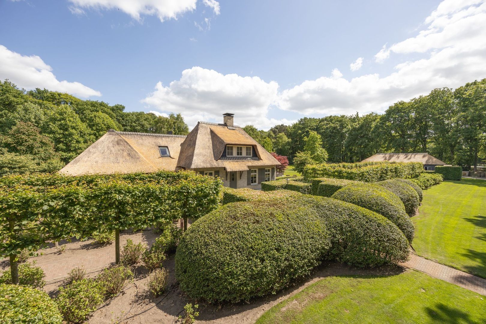 Zoeksestraat 19, Schijf foto-55