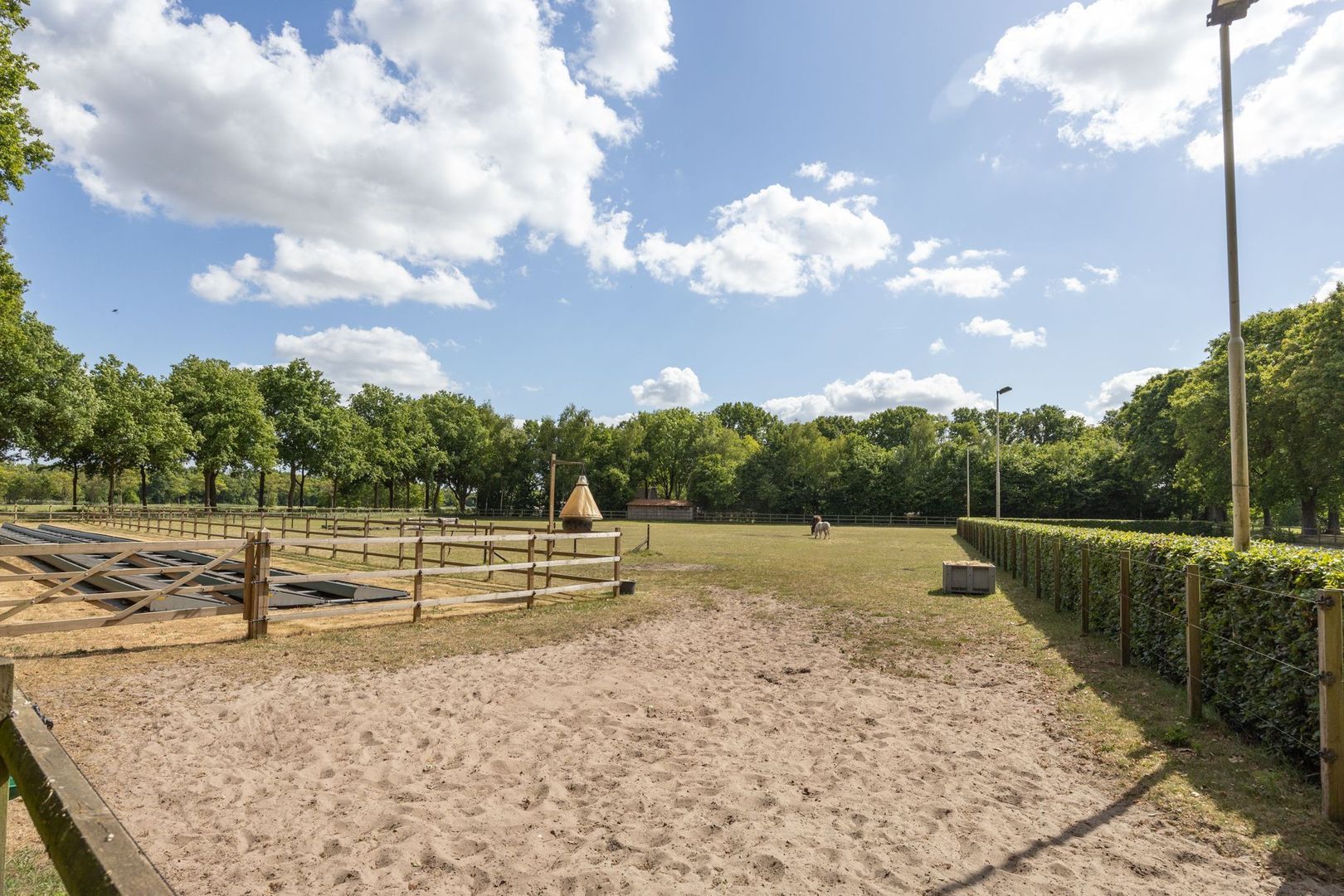 Zoeksestraat 19, Schijf foto-84