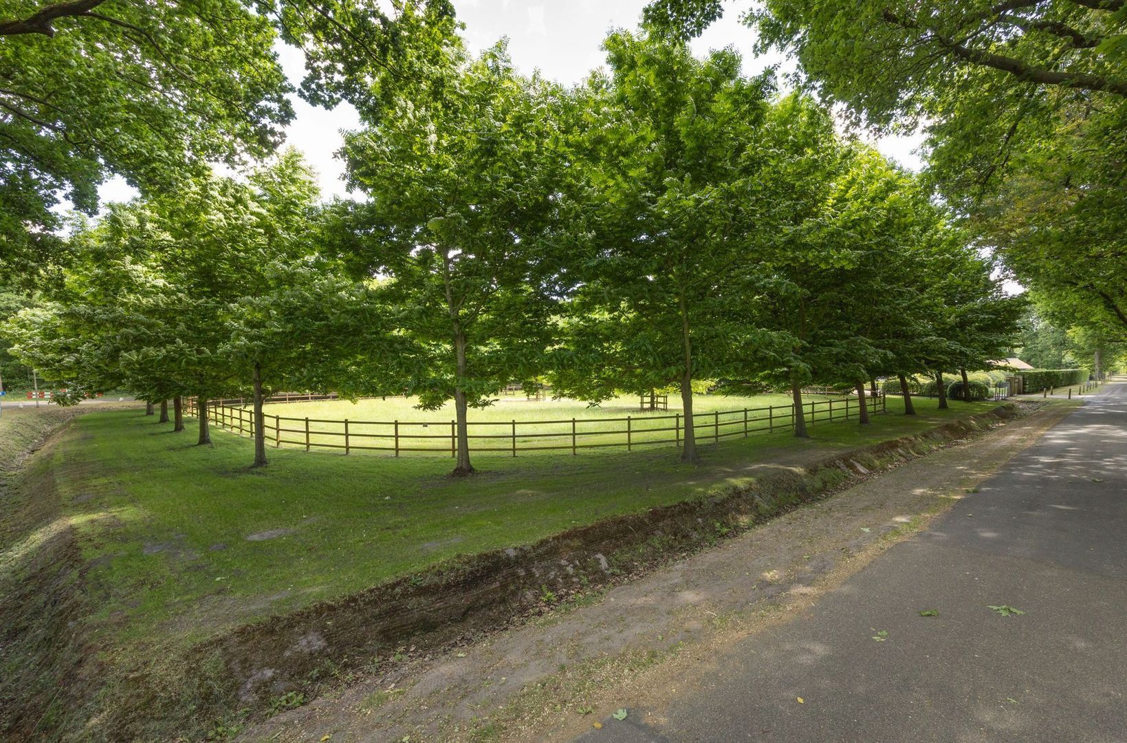 Zoeksestraat 19, Schijf foto-78