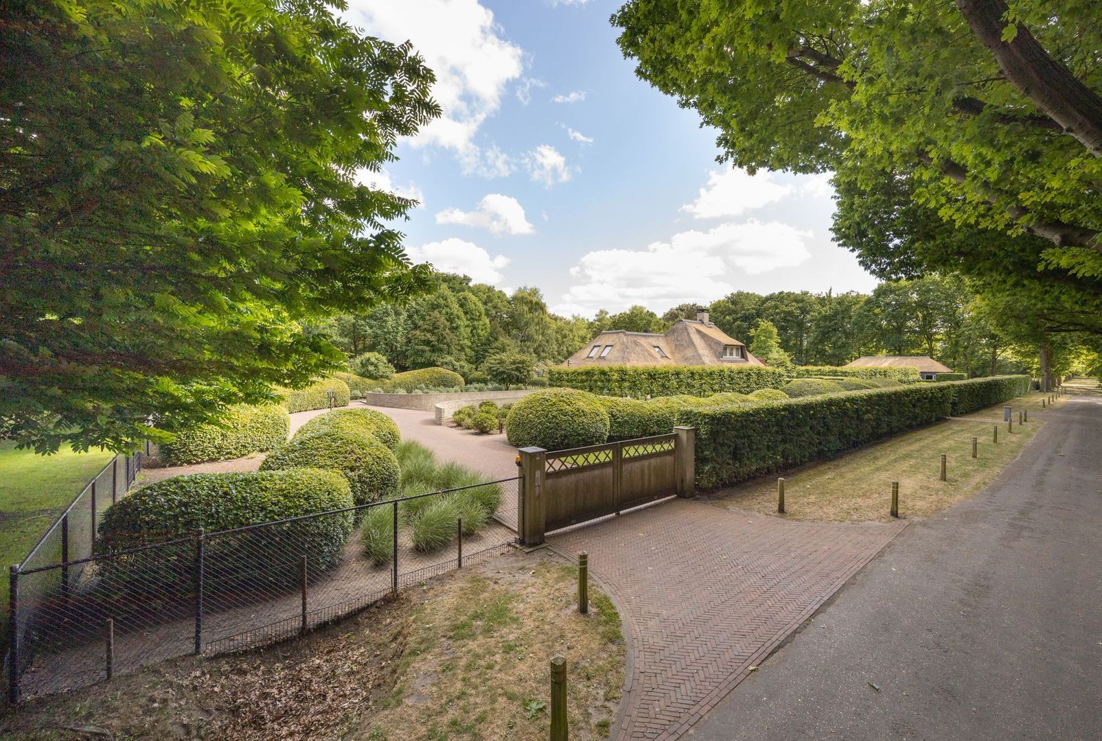 Zoeksestraat 19, Schijf foto-79