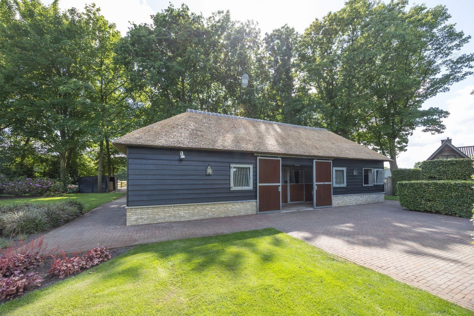 Zoeksestraat 19, Schijf foto-81