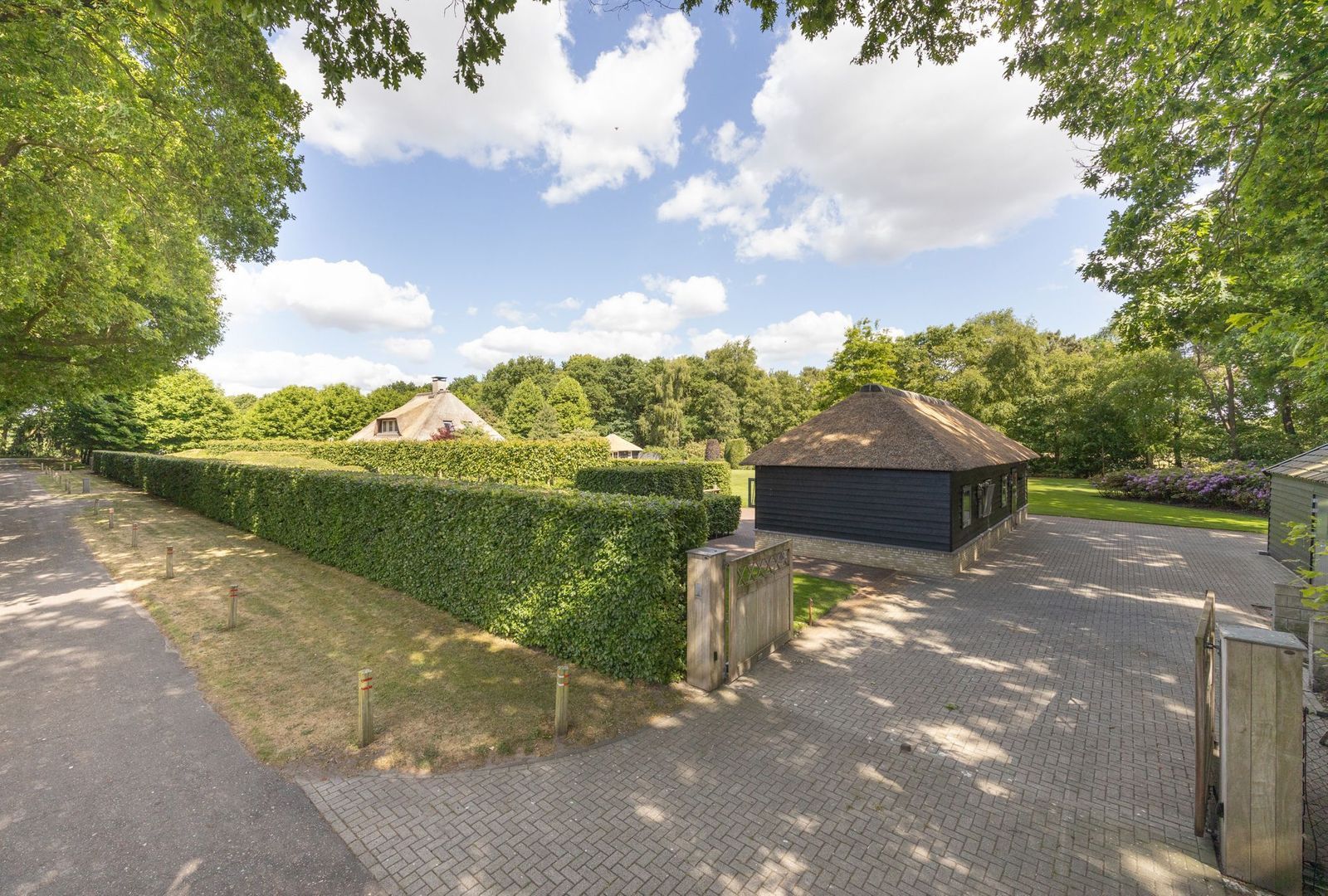 Zoeksestraat 19, Schijf foto-72