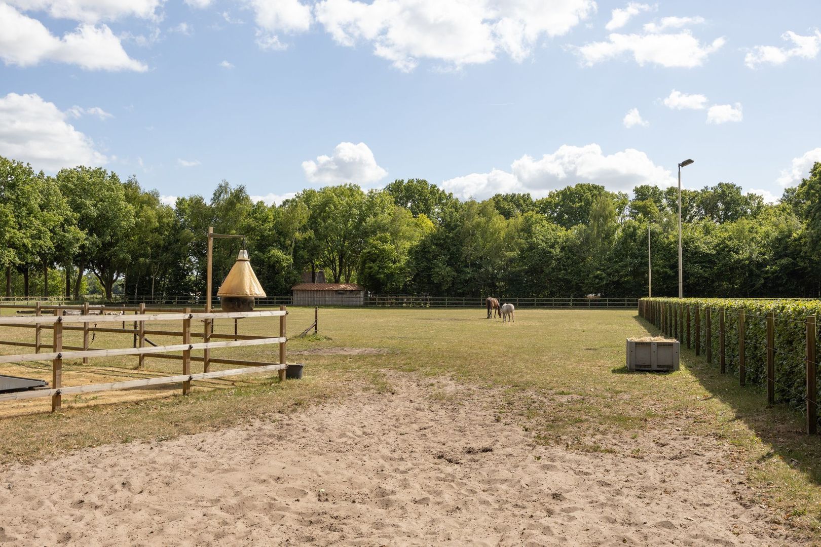 Zoeksestraat 19, Schijf foto-83